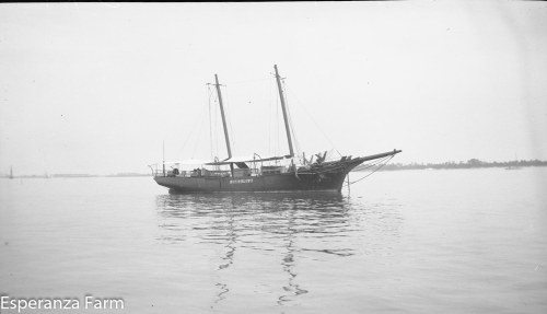 Bush Bluff lightship