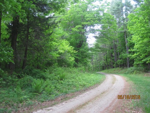 031 - Copy (1024x768)